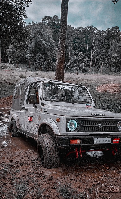 而这些球员 而这些球员