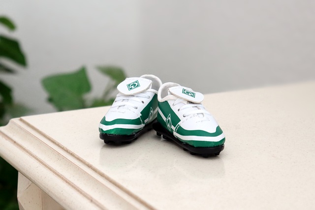 会上大放光 会上大放光