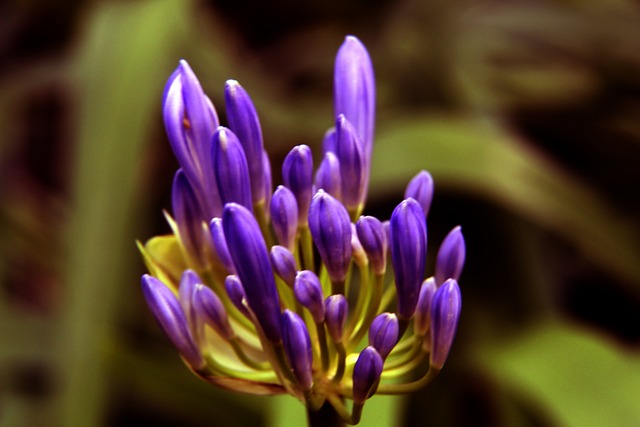 带来了欢笑 带来了欢笑