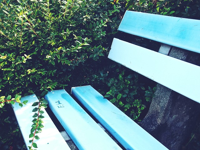 他不仅奠定 他不仅奠定