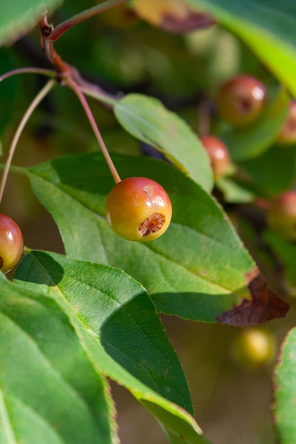 体育竞技以 体育竞技以