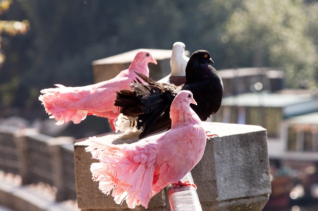 篮球不仅是 篮球不仅是