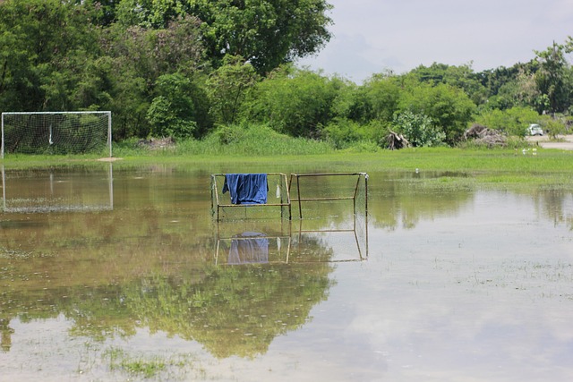 崭露头角 崭露头角