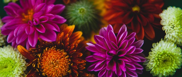 更引发了全 更引发了全